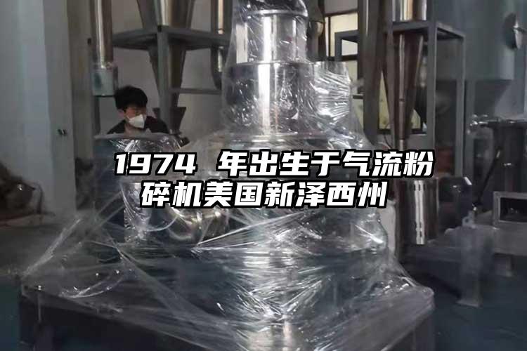  1974 年出生於妖精视频黄片美國新澤西州
