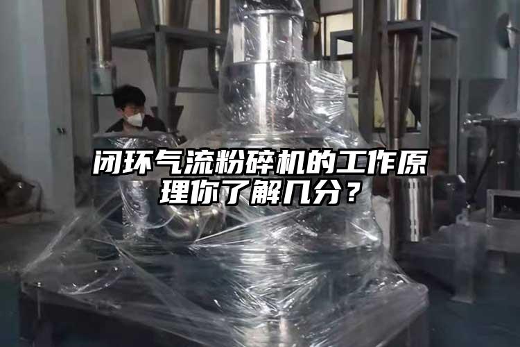 閉環妖精视频黄片的工作原理你了解幾分？