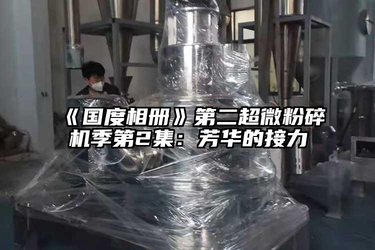 《國度相冊》第二妖精视频入口网站免费高清观看季第2集：芳華的接力