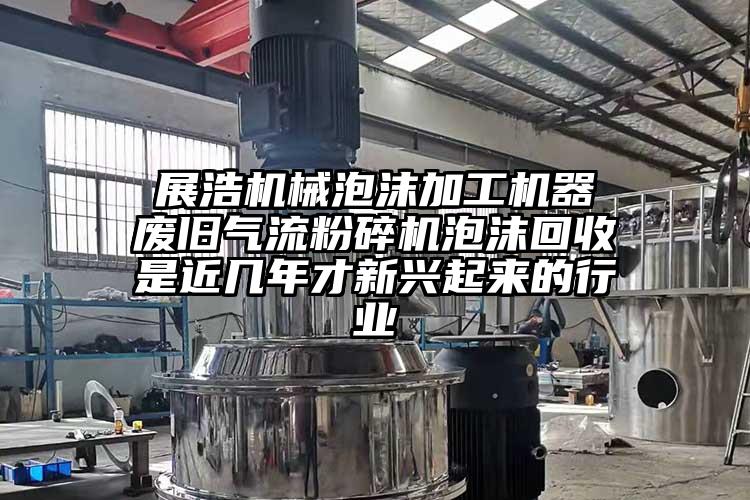  展浩機械泡沫加工機器 廢舊妖精视频黄片泡沫回收是近幾年才新興起來的行業