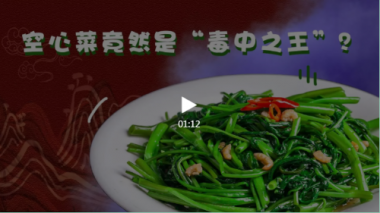 【網絡謠言毀壞機】一分鍾妖精视频黄片辟謠 | 空心菜：你們都誤會我啦