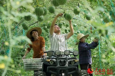 品質和產量妖精视频入口网站免费高清观看得到提高